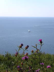 Utsikt fr&aring;n Kullaberg
