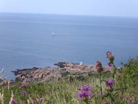 P&aring; v&auml;g till M&ouml;lle