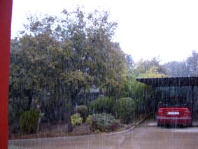 Sn�blandat regn
