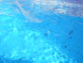 Isig pool 1