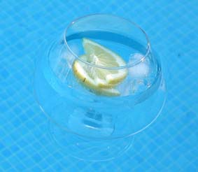 Floating Gin & Tonic ;)