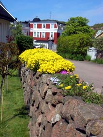 Stenmuren &auml;r alldeles gul