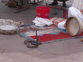 En ormtjusare p� Jemaa el-Fna