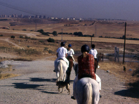 Ridsport